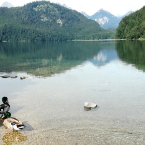17 Alpsee