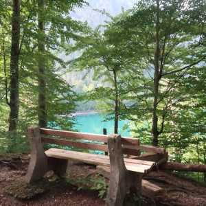 20 Alpsee