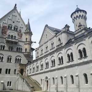27 Neusch