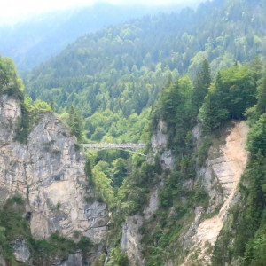 28 Neusch