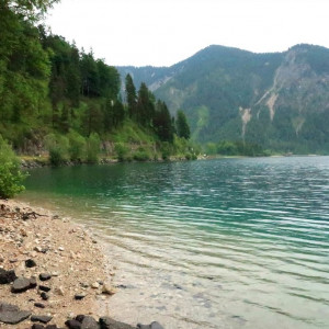 40 Plansee