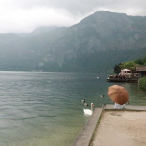 24 Hallstat