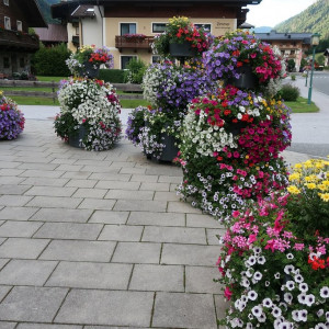 37 Fusch