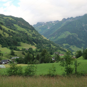 39 Fusch