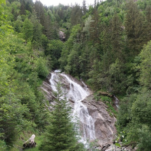 40 Fusch
