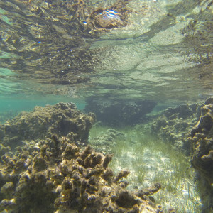 G0075607