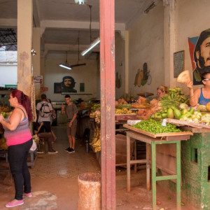 Cuba19 (Cópia)