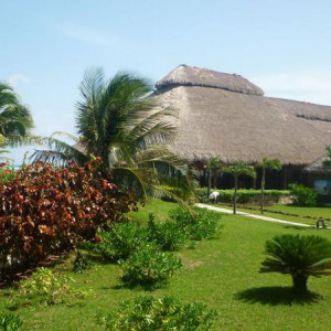 Jardim