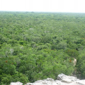 Vista na pirâmide de Coba