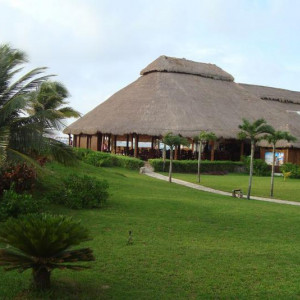 O Bar