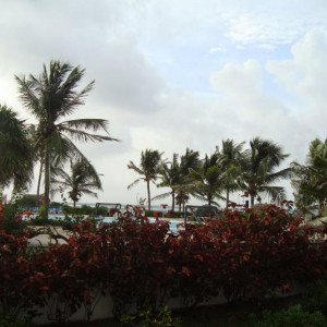 Jardim2
