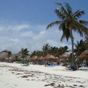 Akumal4