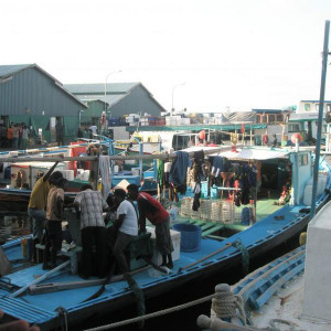 PA131100.JPG