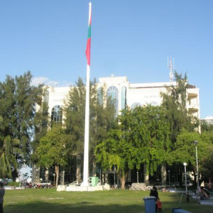 PA131098.JPG