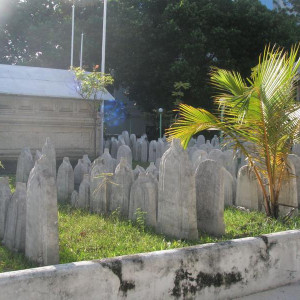 PA131079.JPG