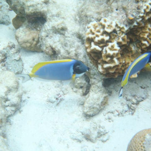 P9050015