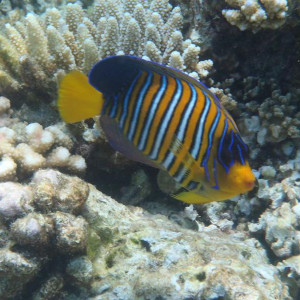 P9050057