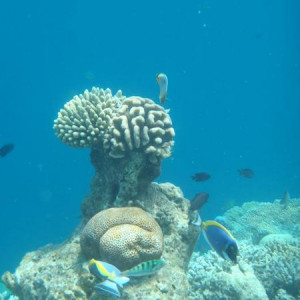P9050058
