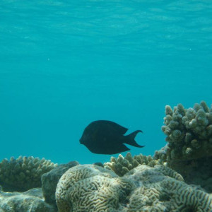 P9050062