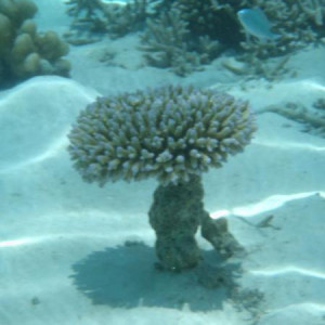 P9060251