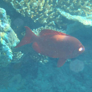 P9060357