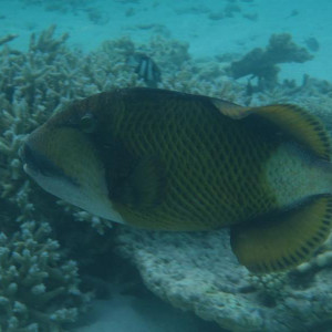 P9070657