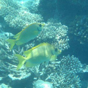P9070430