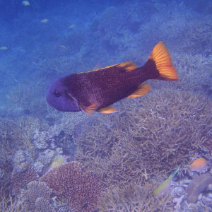 P9090731