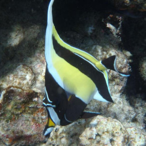 P9090762