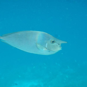 P9070594
