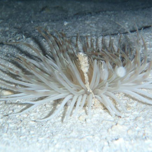 P9120287