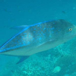 P9120146