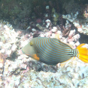 P9120016