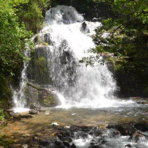 DSC 0177