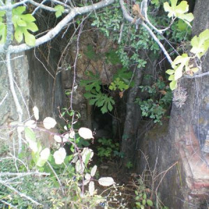 100_0606.JPG