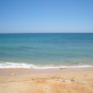 Riu Guarana Junho 2011 022