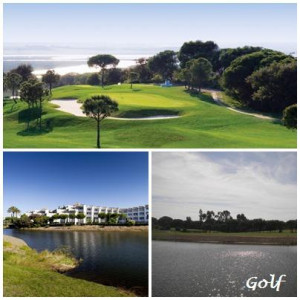 5 golf