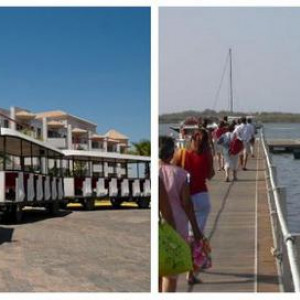 12 transporte