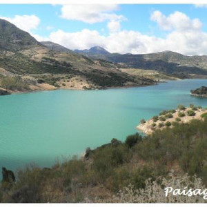 15 paisagem