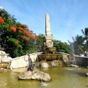 DSC00363 (Cópia)