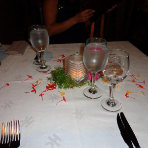 DSC00445 (Cópia).JPG