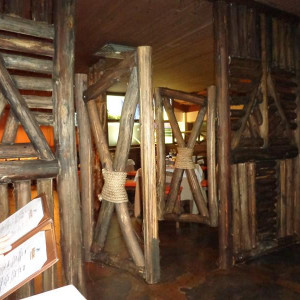 DSC00450 (Cópia).JPG