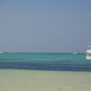 DSC00547 (Cópia).JPG