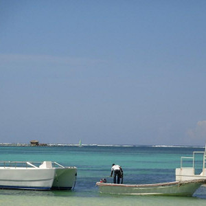 DSC00548 (Cópia).JPG