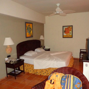 DSC00567 (Cópia).JPG