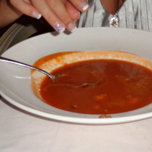 DSC00584 (Cópia).JPG