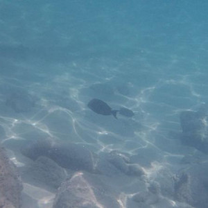 Underwater