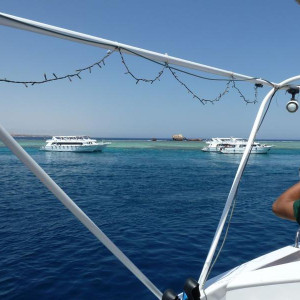 Imensos barcos a circular e parados junto dos corais