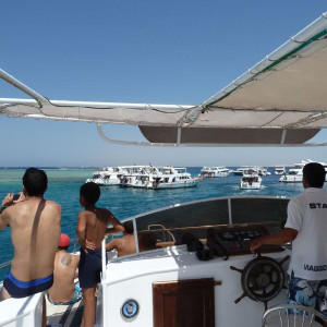 Os barcos todos À caça do mesmo