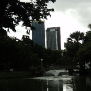 DSC03302